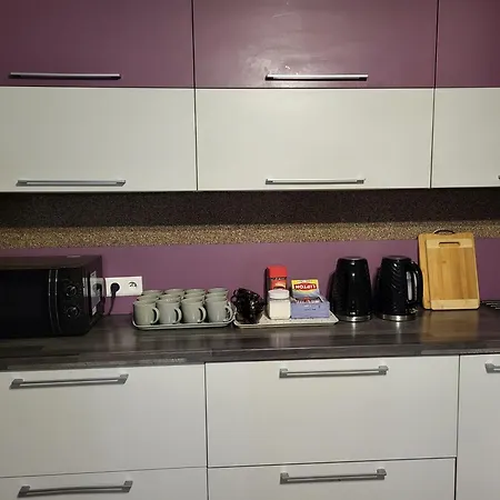 Goscinne Karpacka 17 Prywatne Lazienki Parking グリヴィツェ