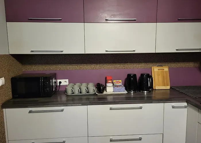 Goscinne Karpacka 17 Prywatne Lazienki Parking グリヴィツェ