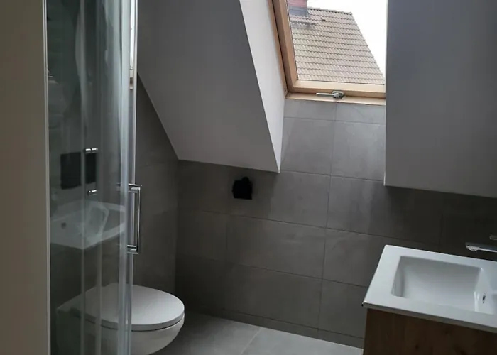 Hotel Goscinne Karpacka 17 Prywatne Lazienki Parking Hlivice